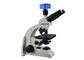 Trinocular Laboratuvar Biyolojik Mikroskobu / Laboratuvar Optik Mikroskobu Tedarikçi
