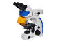 UOP Dik Floresan Mikroskop, Yüksek Çözünürlüklü Floresan Mikroskopi Tedarikçi