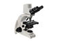 1000X Dijital Optik Mikroskop 5MP Dijital Kamera Dijital Biyolojik Mikroskop Tedarikçi