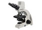 1000X Dijital Optik Mikroskop 5MP Dijital Kamera Dijital Biyolojik Mikroskop Tedarikçi