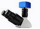 12V 50W Işık Kaynağı ile Profesyonel Optik Metalurji Mikroskobu UM203i Tedarikçi
