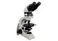 Trinoküler Metalurji Mikroskop Asbest Eğitim Için 4X10X40X60X Tedarikçi