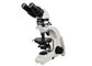 UP102i Binoküler Polarize Işık Mikroskobu Eğitim UOP Mikroskop Tedarikçi