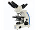 UOP204i Çoklu Görüntüleme Mikroskop 10x40x100x Okul Eğitimi Kullanımı Tedarikçi