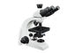 UB103i İlköğretim Öğrencileri İçin Profesyonel Sınıf Trinoküler Mikroskop Tedarikçi