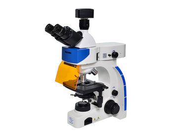 Çin B &amp;amp; G Floresan Filtreli LED Trinoküler Dik Floresan Mikroskop Tedarikçi