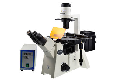 Çin DSY5000X Ters Optik Mikroskop B / G / V / UV Filtresi Dik ve Ters Mikroskop Tedarikçi