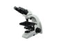 6V 20W Laboratuvar Biyolojik Mikroskop 40-1000X Büyütme Beyaz Siyah Tedarikçi
