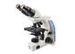 100X Laboratuvar Biyolojik Mikroskop 3 W LED Işıkları ile Binoküler Işık Mikroskobu Tedarikçi