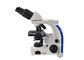 100X Laboratuvar Biyolojik Mikroskop 3 W LED Işıkları ile Binoküler Işık Mikroskobu Tedarikçi