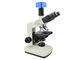3 W LED Trinoküler Mikroskop 10x40x100x Laboratuar Ekipmanları Mikroskop Tedarikçi