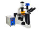 BG Kontrollü Faz Kontrast UOP Ters Floresan Mikroskop Tedarikçi